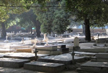 Priest in Delhi advocates cremation for Christians